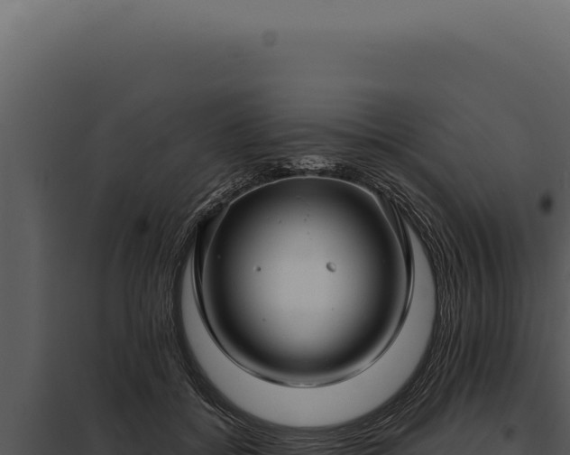 X0000097970556200804011723