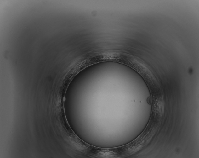 X0000097970557200804011723