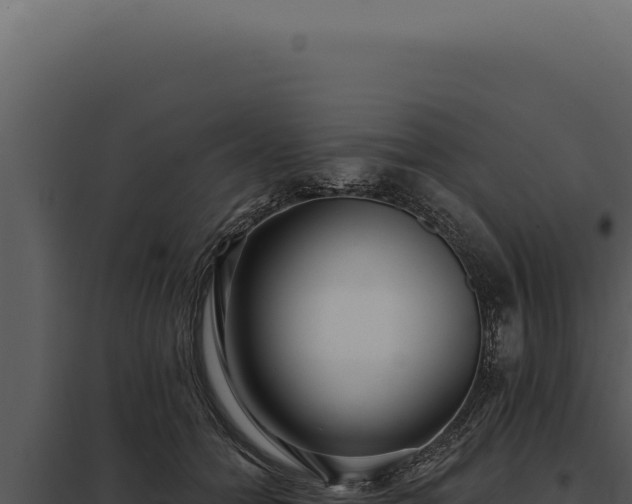 X0000097970558200804011723