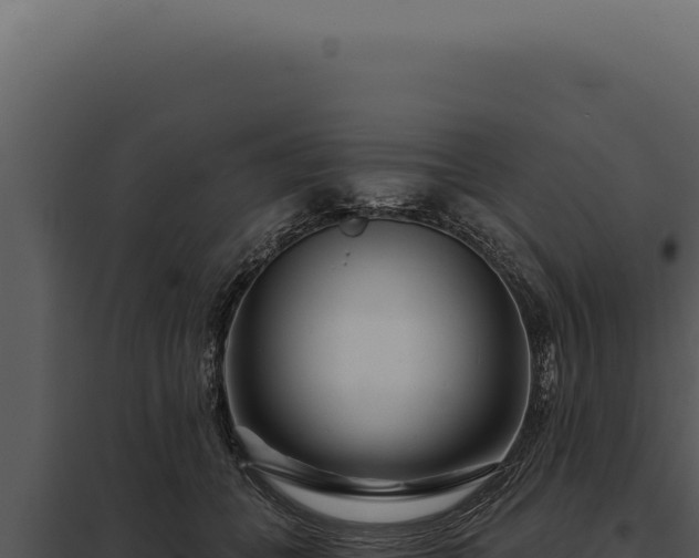 X0000097970559200804011723