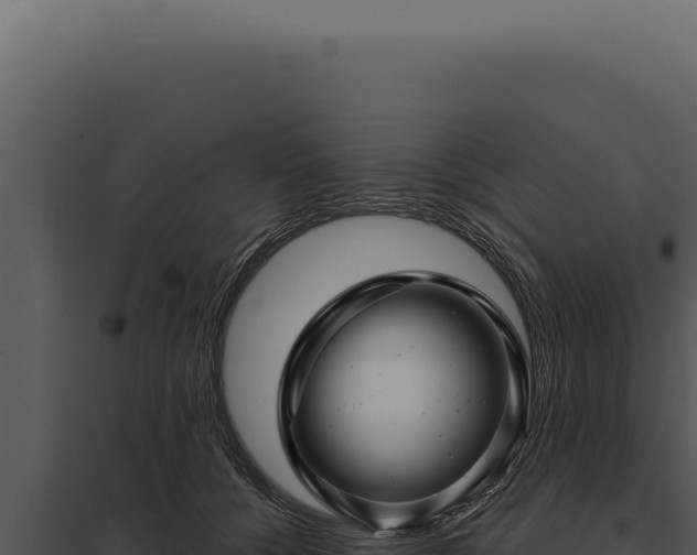 X0000097970560200804011723