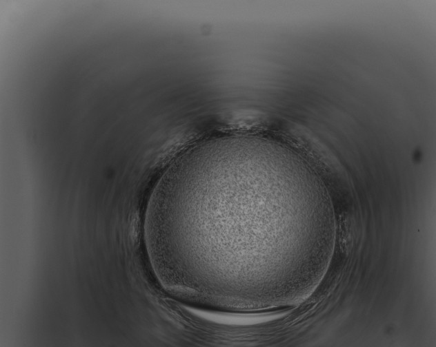 X0000097970563200804011724