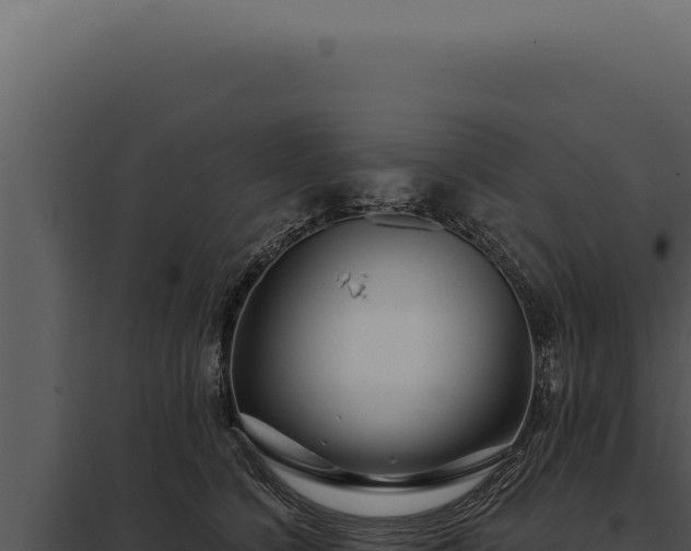 X0000097970564200804011724