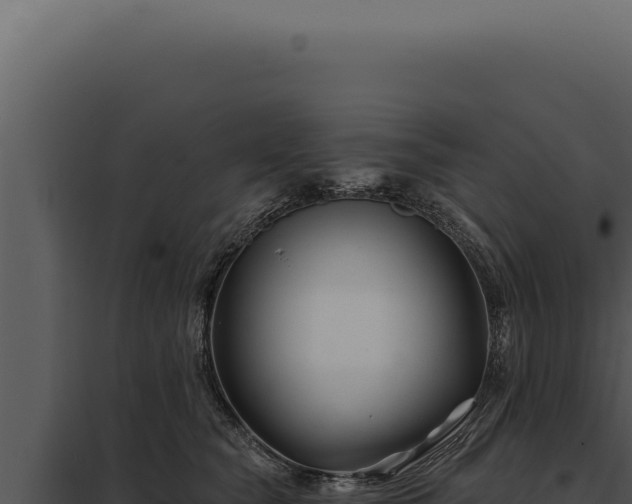 X0000097970565200804011724