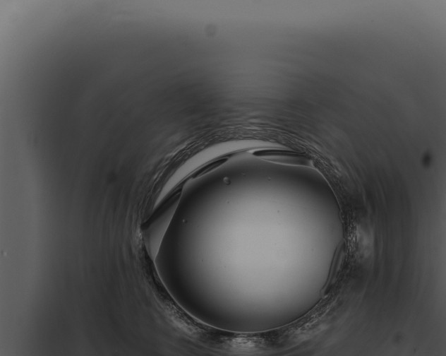 X0000097970566200804011724