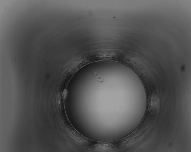 X0000097970567200804011724