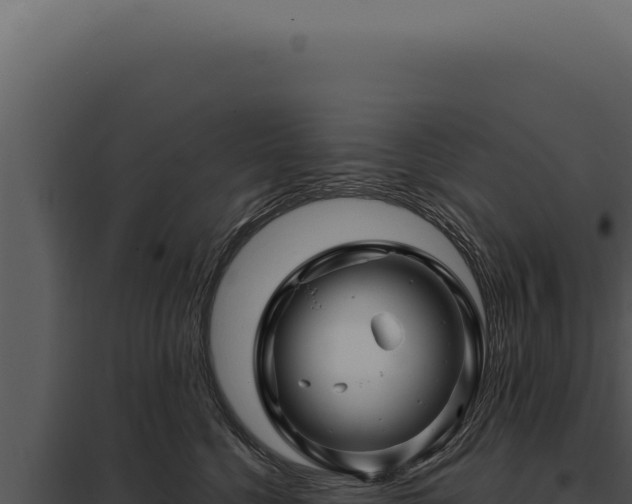 X0000097970568200804011724