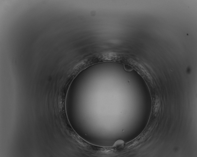 X0000097970569200804011724