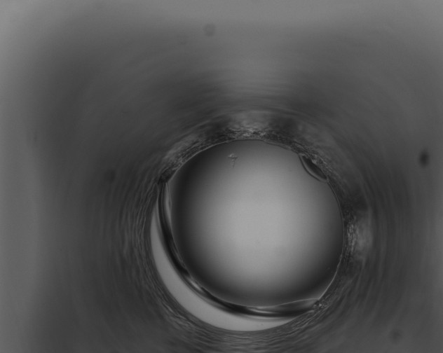 X0000097970570200804011724