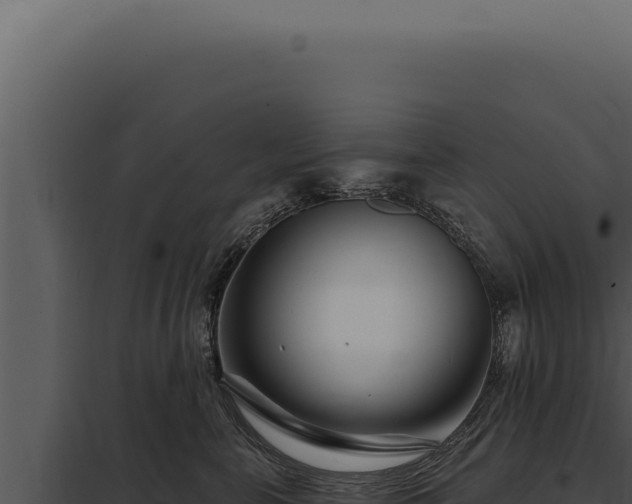 X0000097970571200804011724