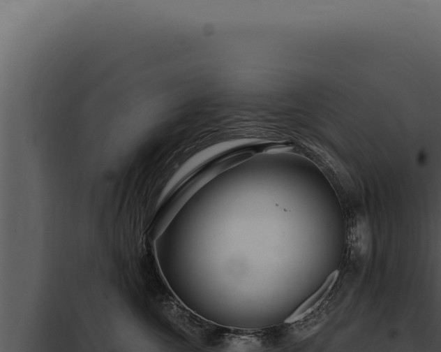 X0000097970572200804011724