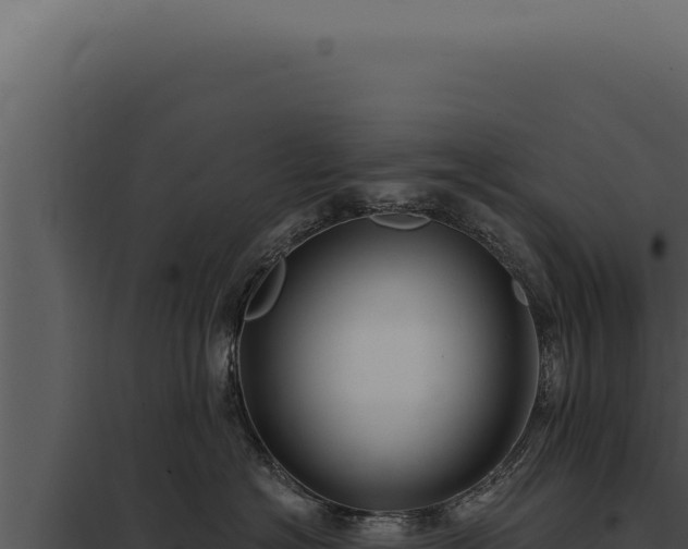 X0000097970574200804011724