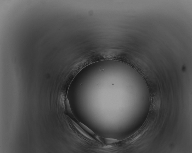 X0000097970575200804011724