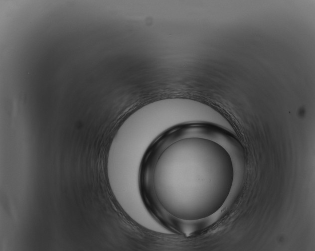 X0000097970576200804011724