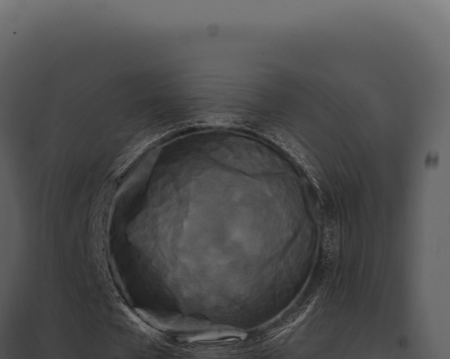 X0000097970577200804011723