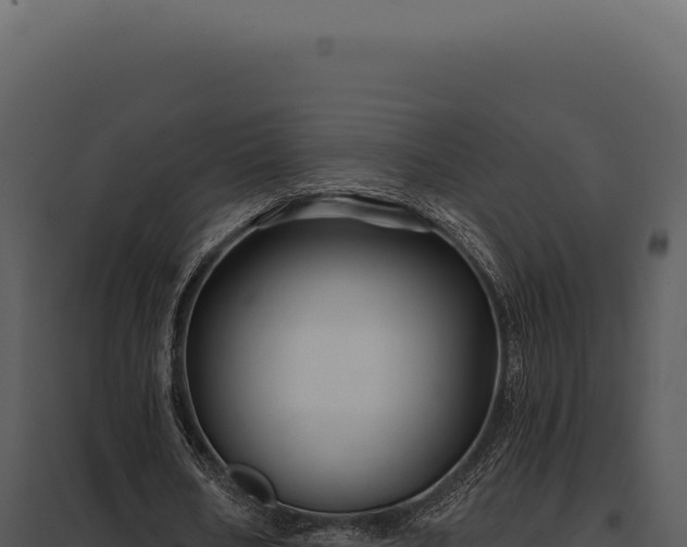 X0000097970578200804011723