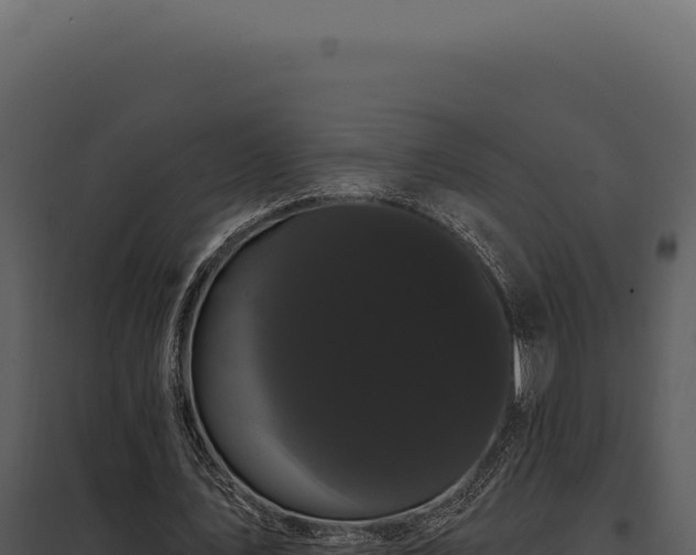 X0000097970579200804011723