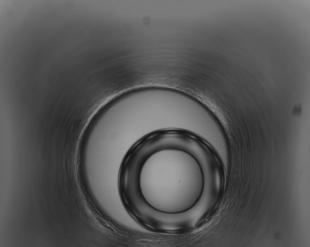 X0000097970580200804011723