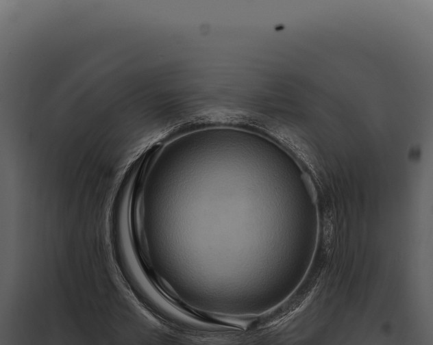 X0000097970581200804011723