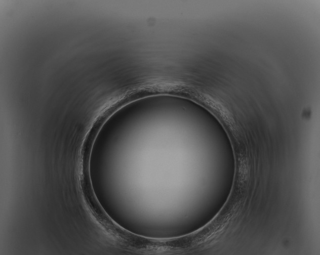 X0000097970582200804011723