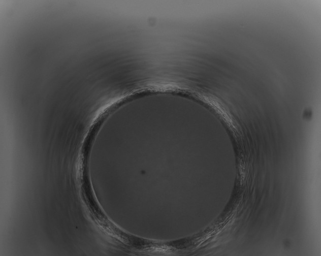 X0000097970583200804011723