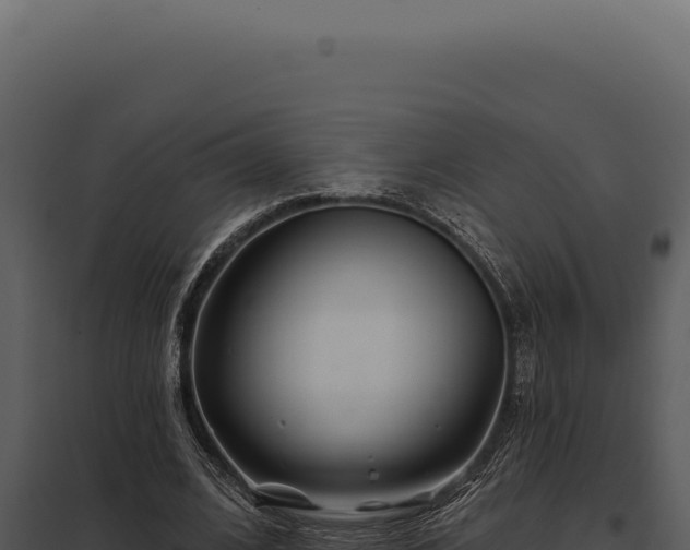 X0000097970584200804011723