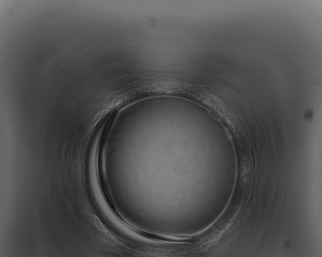 X0000097970585200804011723