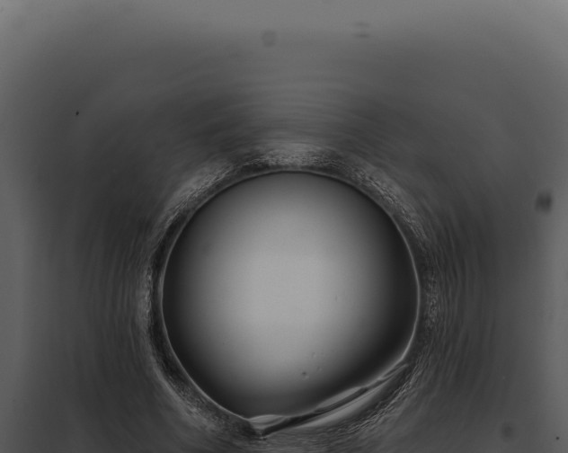 X0000097970586200804011723