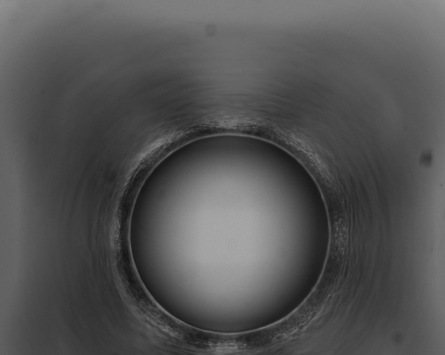 X0000097970587200804011723