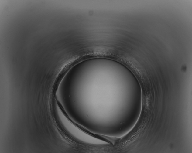 X0000097970588200804011723