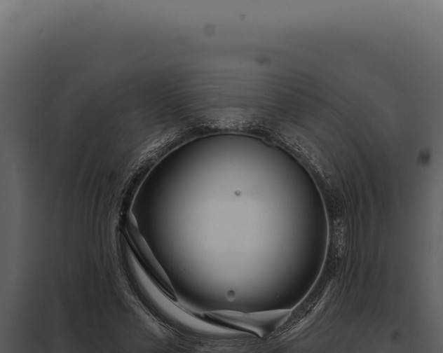 X0000097970589200804011723