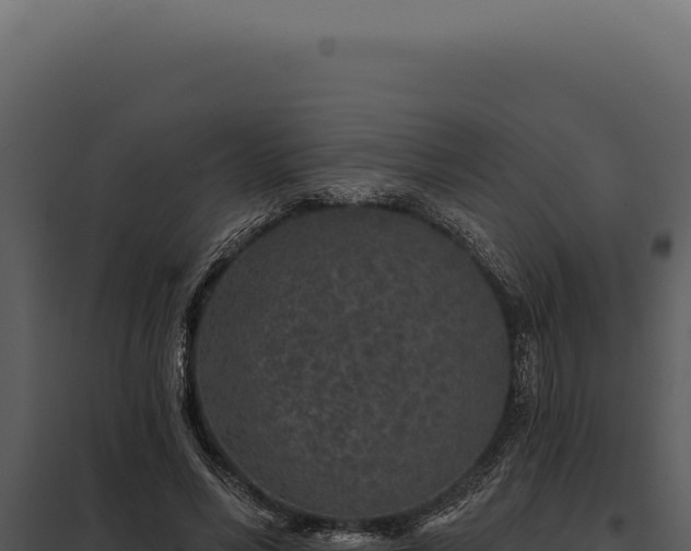 X0000097970590200804011723