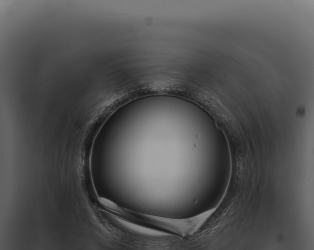 X0000097970592200804011723