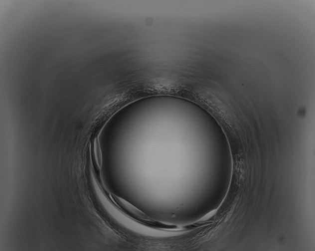 X0000097970593200804011723