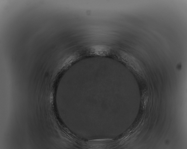 X0000097970595200804011723