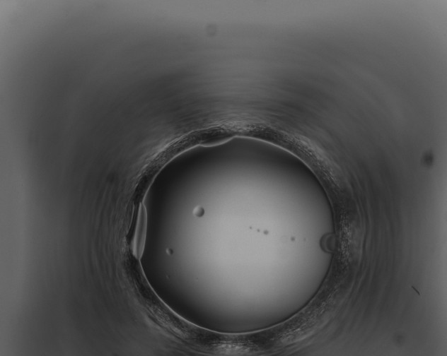 X0000097970596200804011723