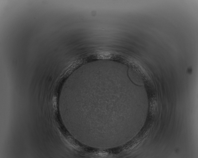 X0000097970598200804011723