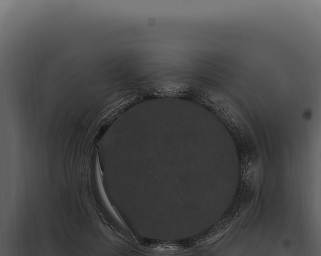 X0000097970599200804011723