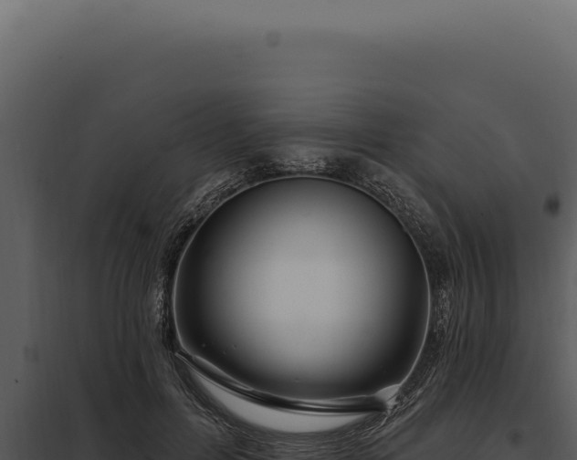 X0000097970600200804011723