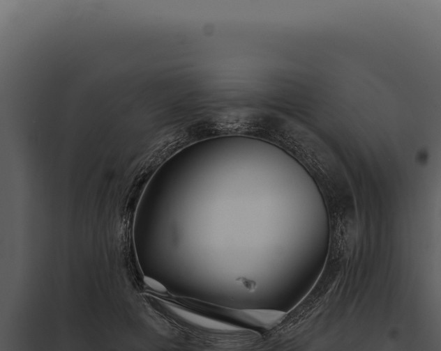 X0000097970601200804011722