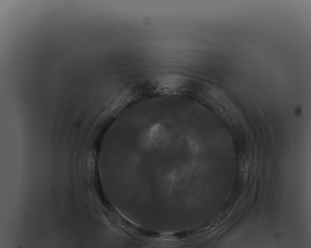 X0000097970603200804011722