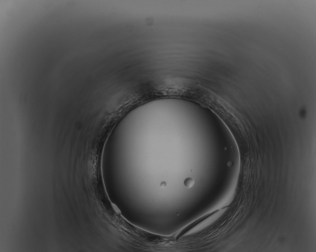 X0000097970604200804011722