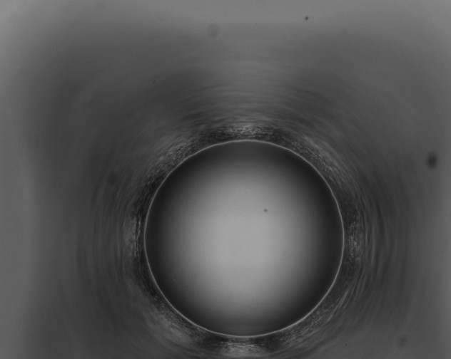 X0000097970605200804011722