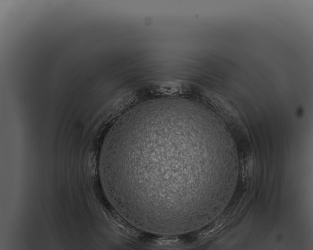 X0000097970606200804011722