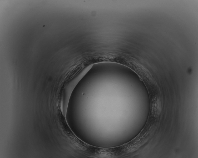 X0000097970608200804011722