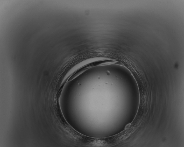 X0000097970609200804011722