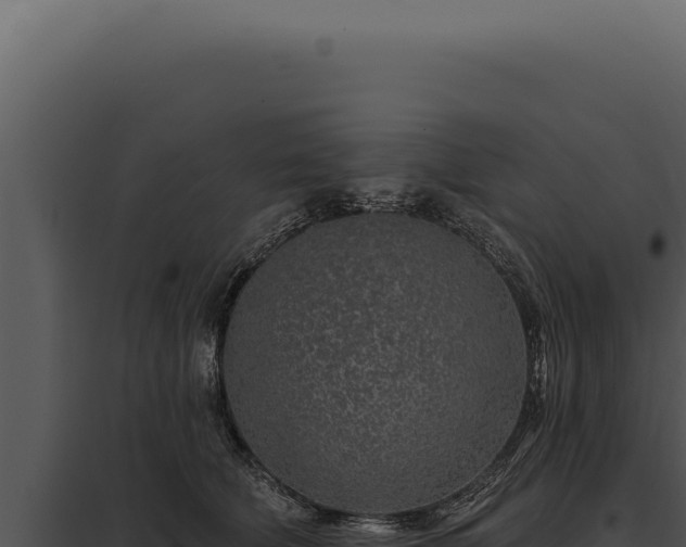 X0000097970610200804011722