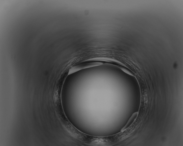 X0000097970611200804011722