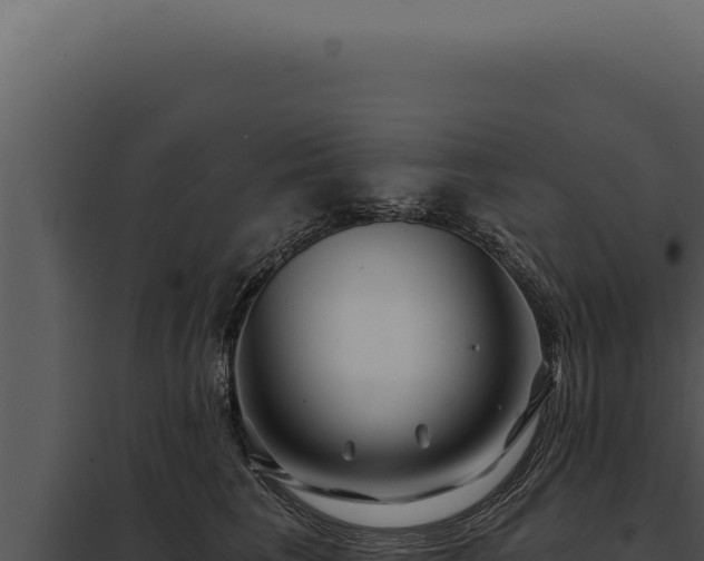 X0000097970613200804011722