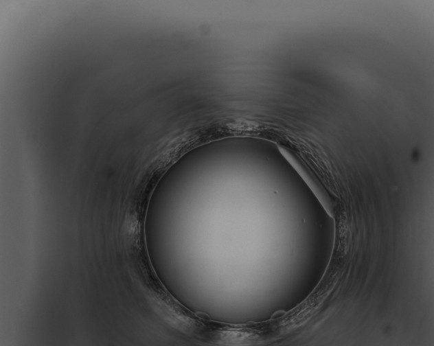 X0000097970614200804011722